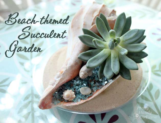 Beach-Themed Succulent Garden