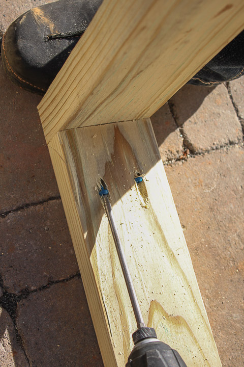 Build a Pergola with Trellis to Screen Your Trash Cans | Pretty Handy Girl