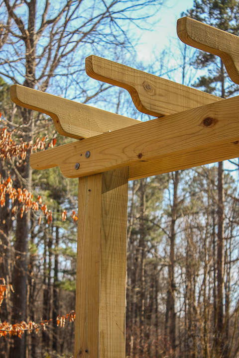 Build a Pergola with Trellis to Screen Your Trash Cans | Pretty Handy Girl