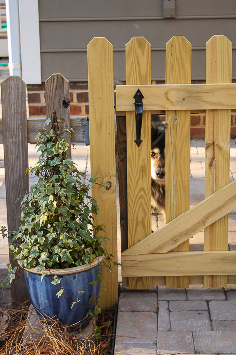Adding Decorative and Functional Hardware to Your Gate | Pretty Handy Girl