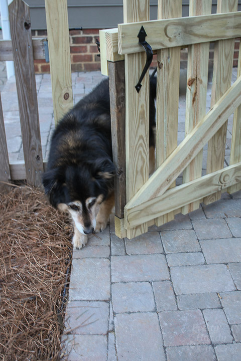 Adding Decorative and Functional Hardware to Your Gate | Pretty Handy Girl