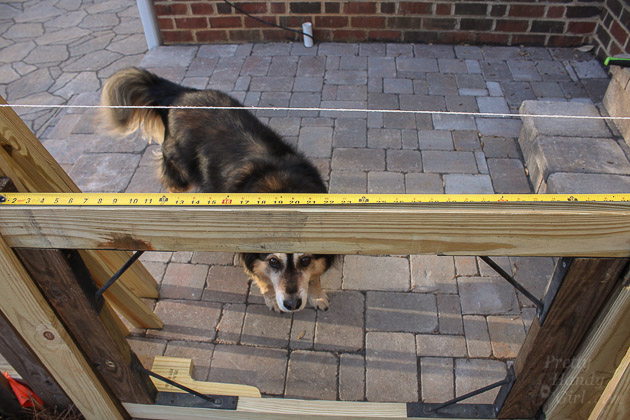 Building a Rock Solid Gate | Pretty Handy Girl