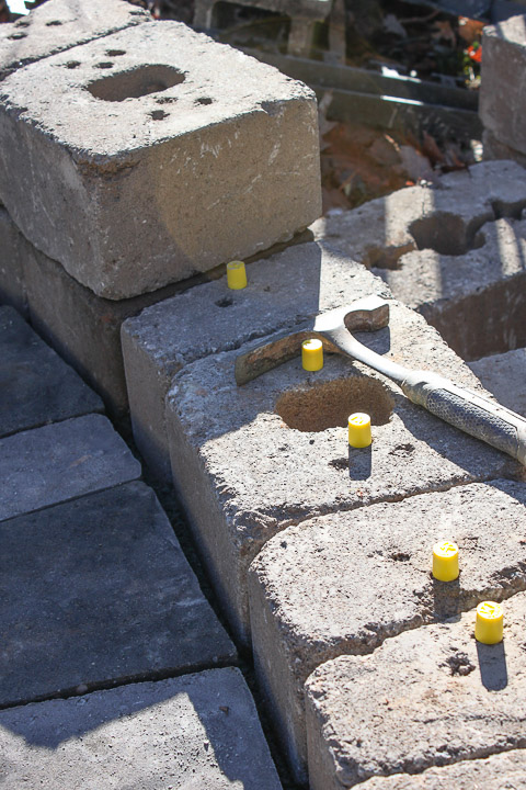 Update on Backyard Landscaping | Pretty Handy Girl