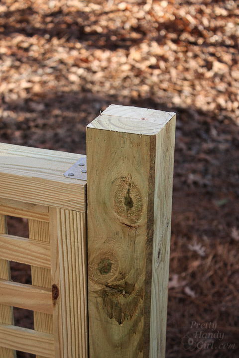 Build a Pergola with Trellis to Screen Your Trash Cans | Pretty Handy Girl
