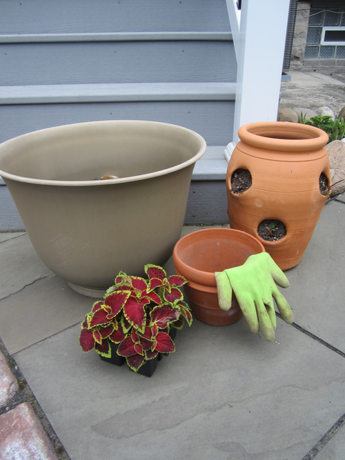 Tips for Container Gardening
