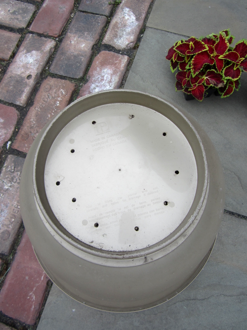 Tips for Container Gardening