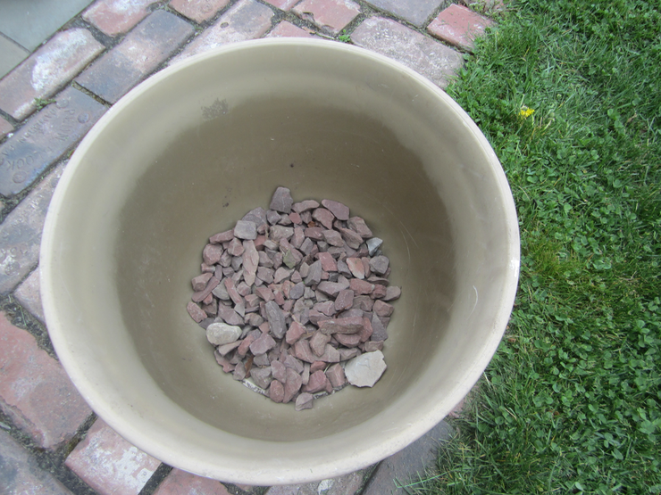 Tips for Container Gardening