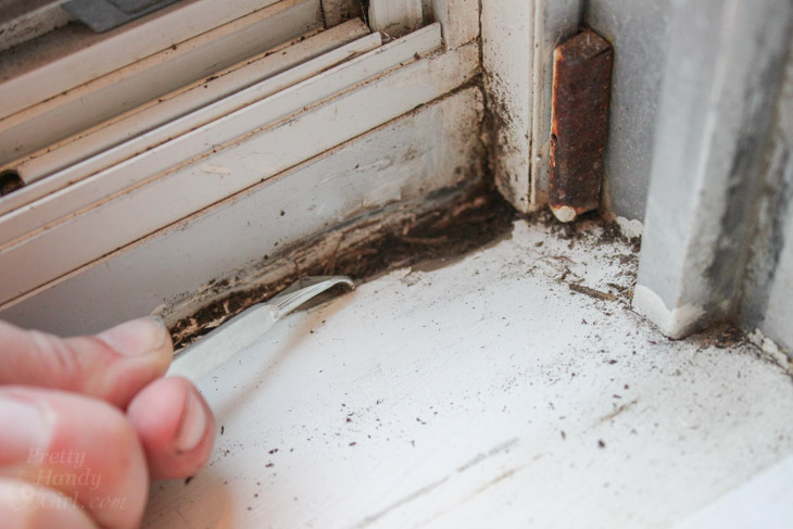 How to Fix Small Areas of Wood Rot | Pretty Handy Girl