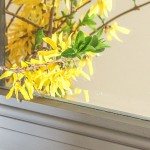 How to Update a Dated Mirror | Pretty Handy Girl