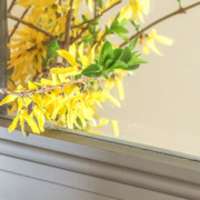How to Update a Dated Mirror | Pretty Handy Girl
