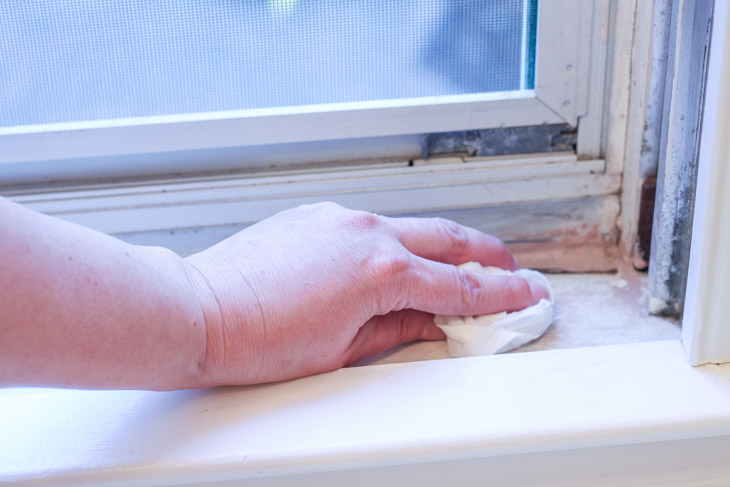 How to Fix Small Areas of Wood Rot | Pretty Handy Girl