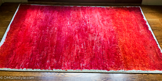 Painted-Rug-6-of-6-2