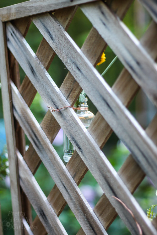 Create a Living Wall Lattice Privacy Screen | Pretty Handy Girl