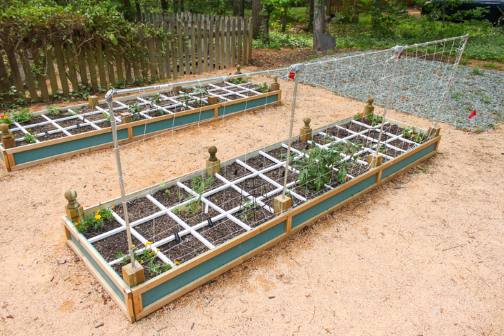 budget-trellis-supports