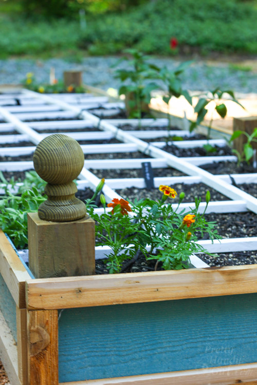 How to Build a Rot-Resistant Raised Planter Bed | Pretty Handy Girl