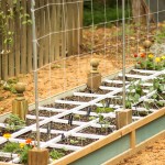 How to Build a Vegetable Trellis on a Budget | Pretty Handy Girl