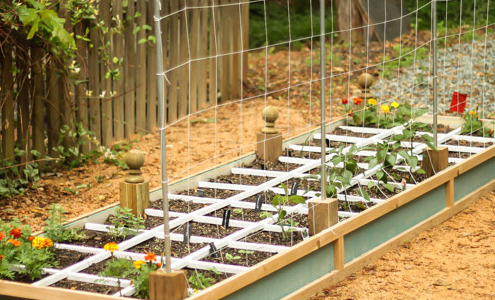 How to Build a Vegetable Trellis on a Budget | Pretty Handy Girl