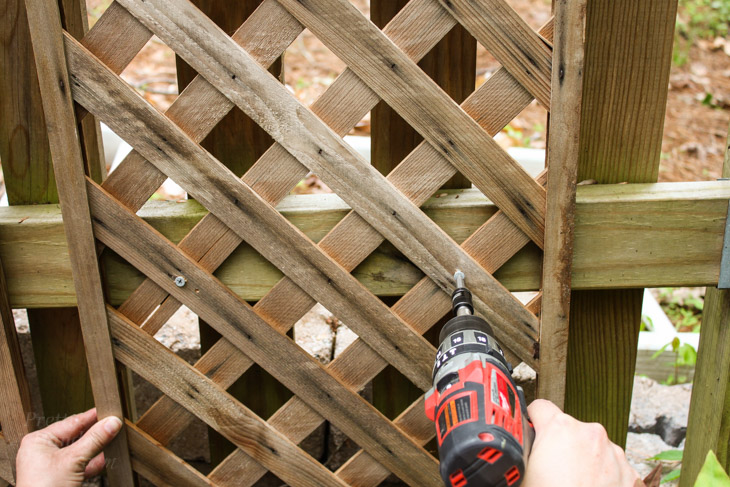 drive-2nd-screw-into-lattice-screen