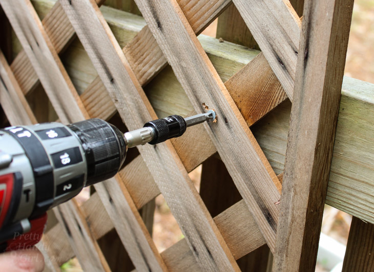 Create a Living Wall Lattice Privacy Screen | Pretty Handy Girl