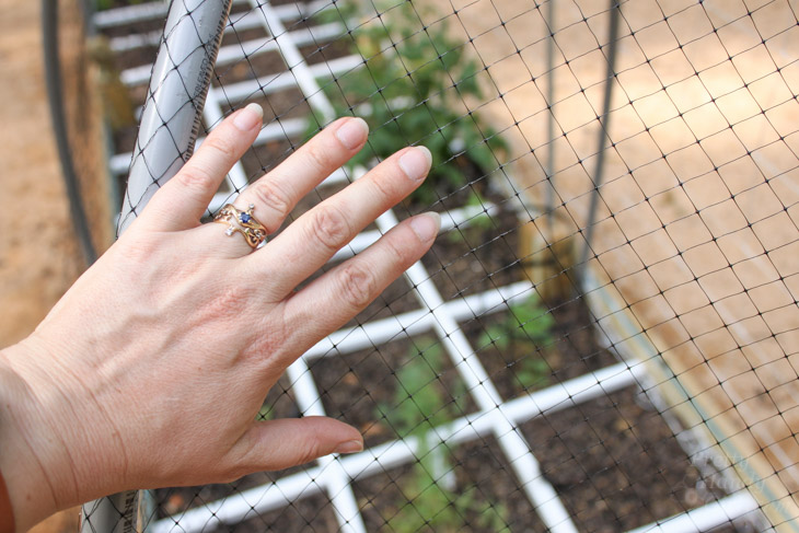 hand-on-wildlife-netting