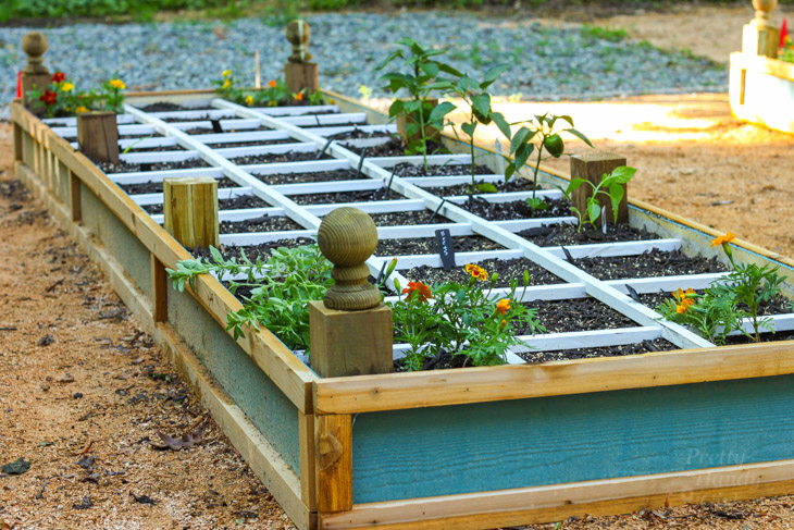 How to Build a Rot-Resistant Raised Planter Bed | Pretty Handy Girl