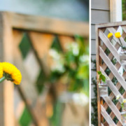 Create a Living Wall Lattice Privacy Screen | Pretty Handy Girl
