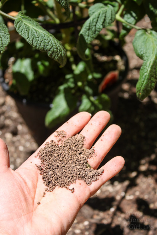 How to Build a Rot-Resistant Raised Planter Bed | Pretty Handy Girl