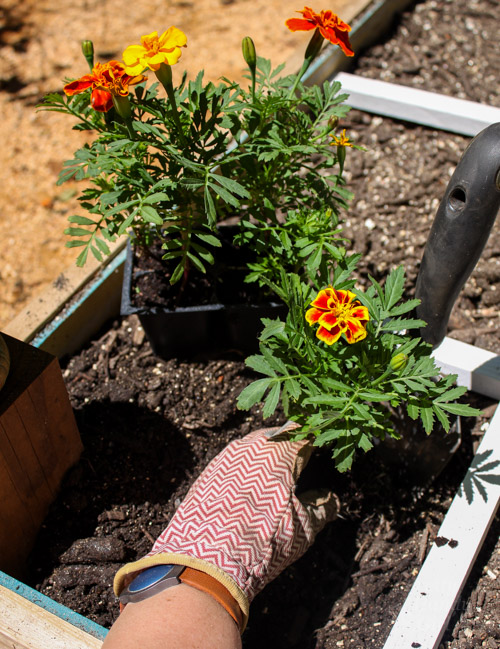 How to Build a Rot-Resistant Raised Planter Bed | Pretty Handy Girl