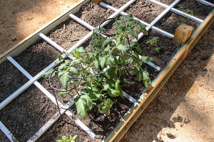 How to Build a Rot-Resistant Raised Planter Bed | Pretty Handy Girl