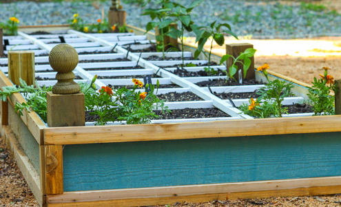 How to Build a Vegetable Trellis on a Budget | Pretty Handy Girl