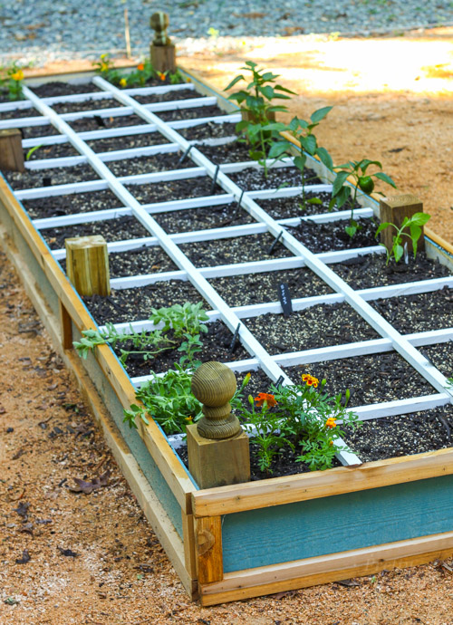 How to Build a Rot-Resistant Raised Planter Bed | Pretty Handy Girl