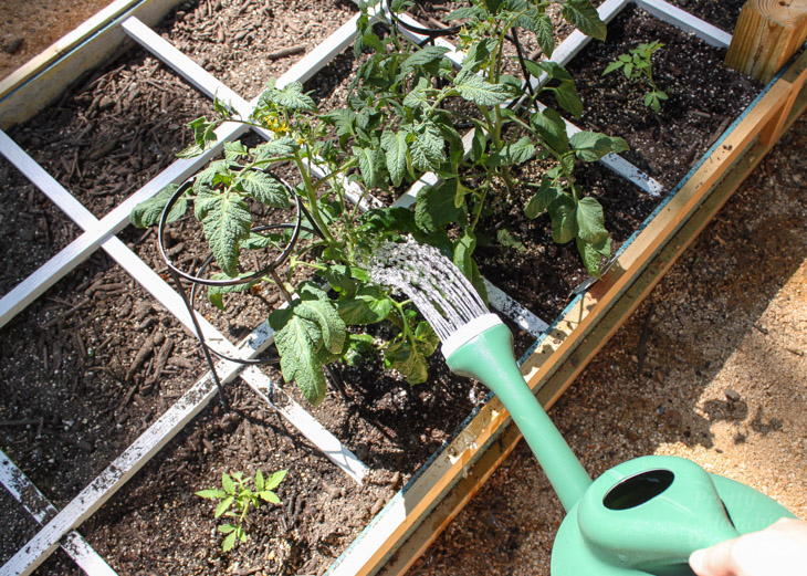 How to Build a Rot-Resistant Raised Planter Bed | Pretty Handy Girl