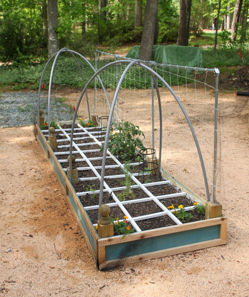wildlife-netting-over-planter-bed