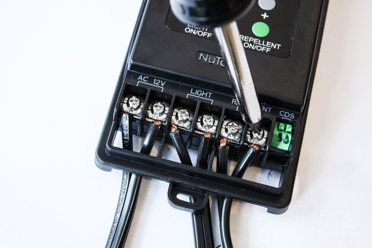 How to Install Low Voltage Landscape Lights (that also repel mosquitos!) | Pretty Handy Girl