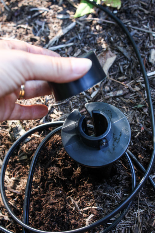 How to Install Low Voltage Landscape Lights (that also repel mosquitos!) | Pretty Handy Girl