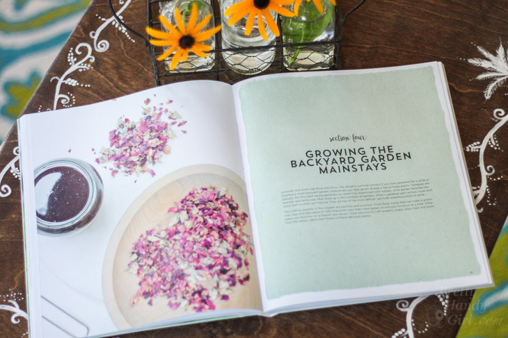 Summer DIY Books to Enjoy | Pretty Handy Girl