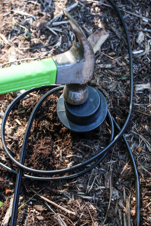 How to Install Low Voltage Landscape Lights (that also repel mosquitos!) | Pretty Handy Girl