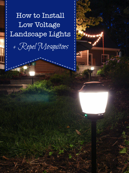 How to Install Low Voltage Landscape Lights (that also repel mosquitos!) | Pretty Handy Girl