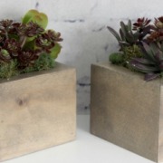 DIY Mini Planters I Pretty Handy Girl