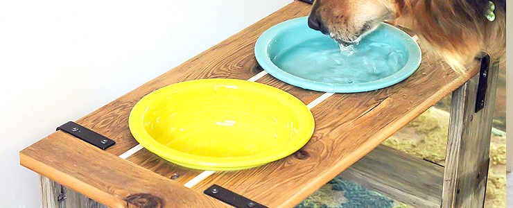 How to Build: Industrial Dog Bowl Feeder Stand | Pretty Handy Girl