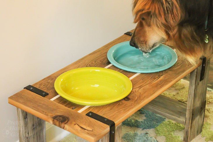 Rustic Industrial Dog Bowl Feeder Stand | Pretty Handy Girl
