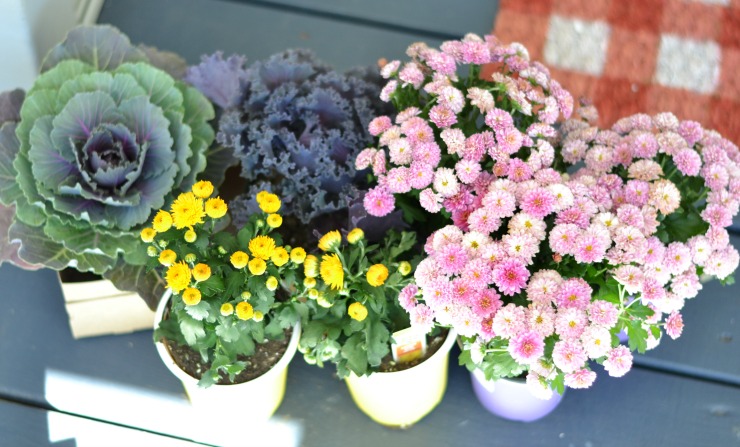 Add a fun Halloween Ghostly Garden to your fall planter. | PrettyHandyGirl.com