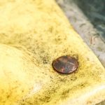 How to Remove a Rusted Carriage Bolt | Pretty Handy Girl