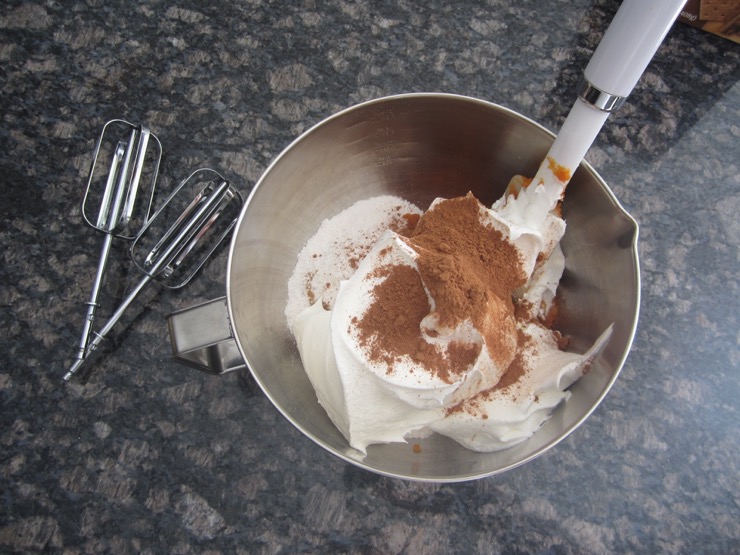 Easy Pumpkin Dip