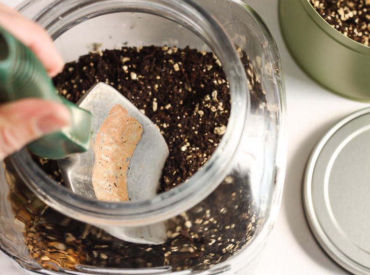 Woodland Fairy Garden in a Jar | Pretty Handy Girl