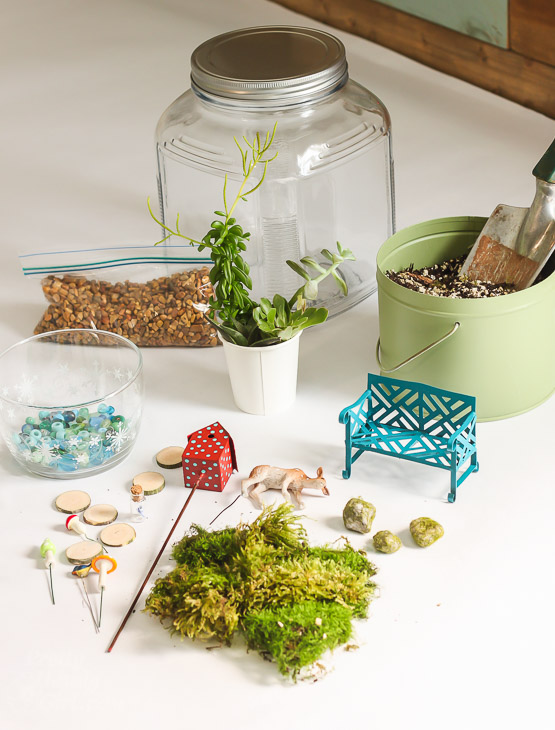 Woodland Fairy Garden in a Jar | Pretty Handy Girl
