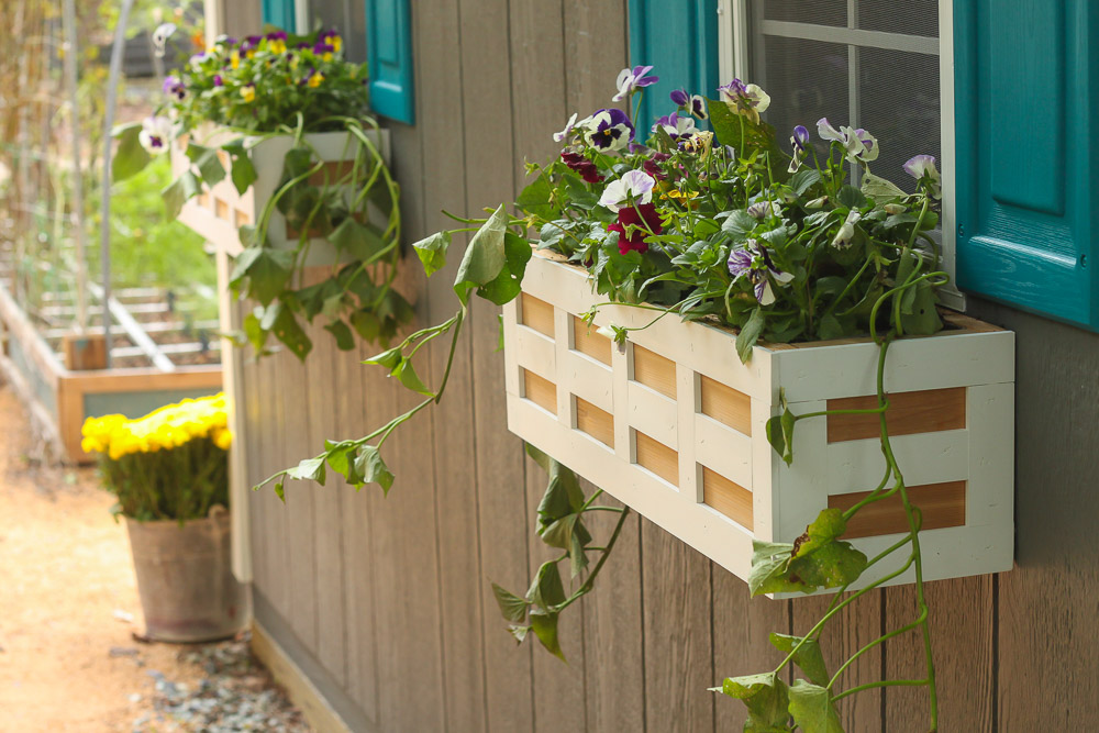 DIY Lattice Window Boxes with flowers