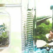 Woodland Fairy Garden in a Jar | Pretty Handy Girl