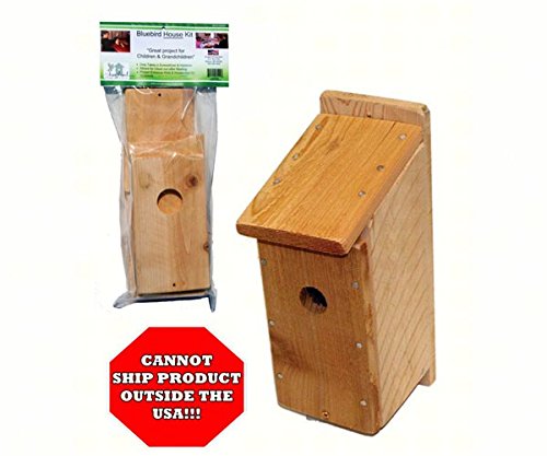 diy-birdhouse-kit