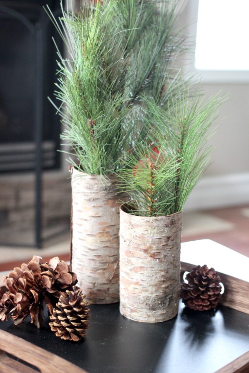 Rustic Bark Vases